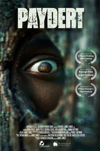 Paydert () poster