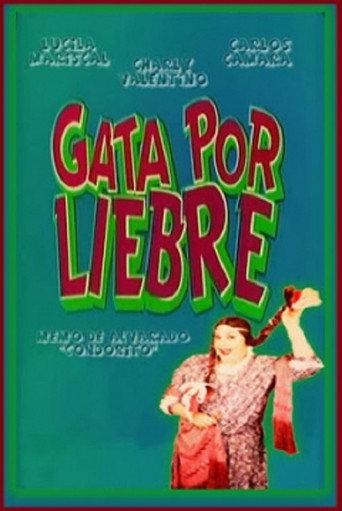 Gata por liebre (1992) poster