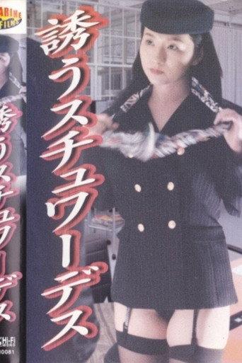 Stewardess Sanctuary: Ecstasy Day and Night (2000) poster