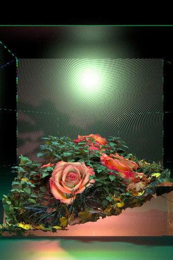FLORALIA III (2020) poster
