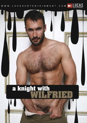 Auditions 28: A Knight with Wilfried (2008) poster