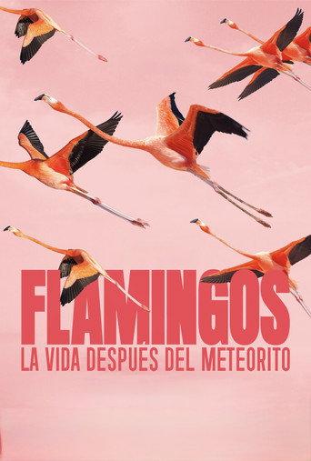 Flamingos: Life After the Meteorite (2026) poster