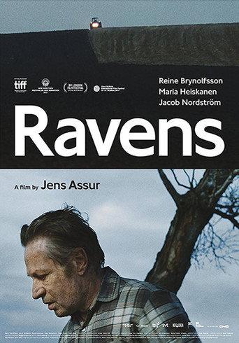 Ravens (2017) poster