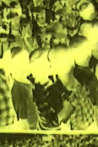 Liber Zuviel Als Zuwenig (1998) poster