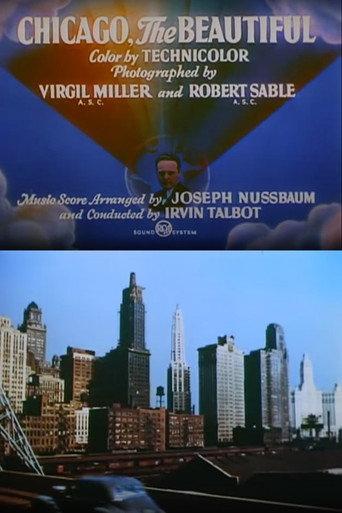 Chicago, the Beautiful (1948) poster