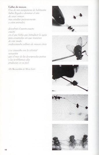 Collar de moscas (2002) poster