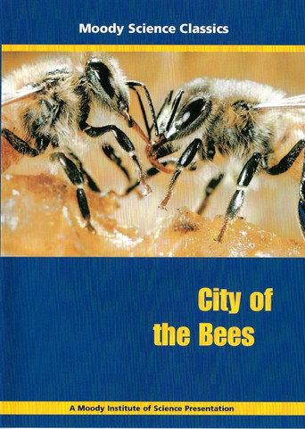 City of the Bees (1962) poster