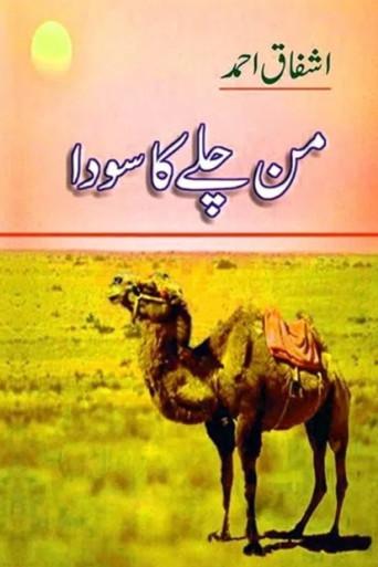 من چلے کا سودا () poster