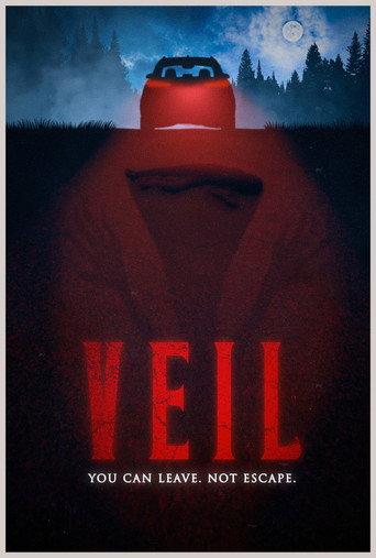 VEIL (2026) poster