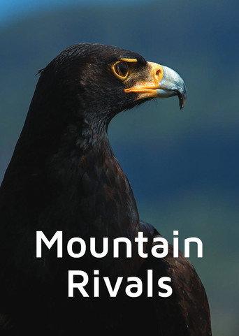 Mountain Rivals (1999) poster