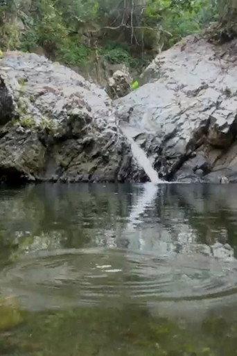 Casting Light (2020) poster