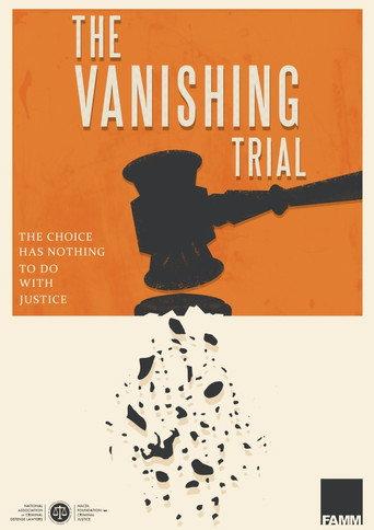 The Vanishing Trial () poster