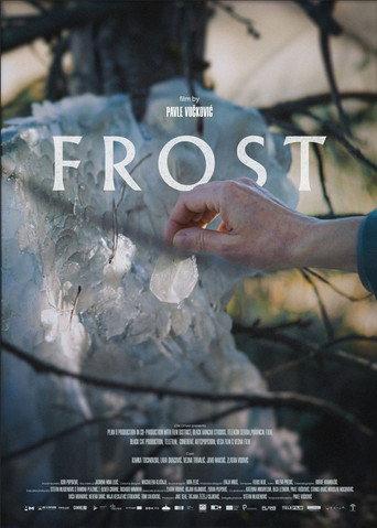 Frost (2026) poster