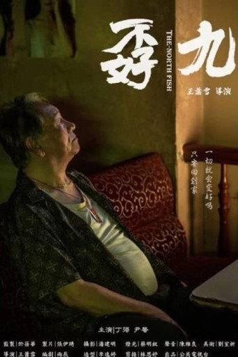 The North-Ming Fish (2020) poster