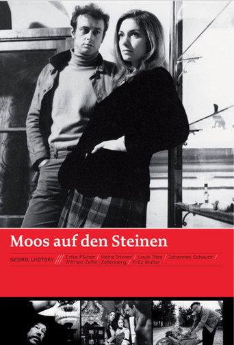 Moss on the Stones (1968) poster