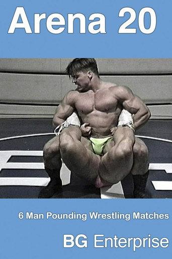 Arena Wrestling 20 (2008) poster