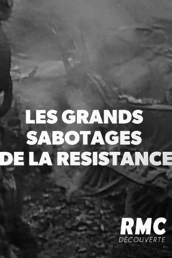 Les Grands sabotages de la résistance () poster