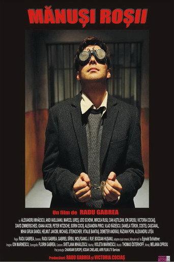 Red Gloves (2010) poster