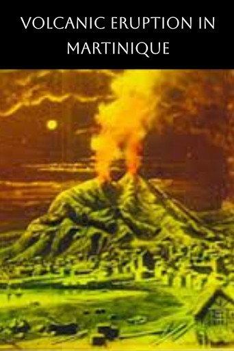The Terrible Eruption of Mount Pelee and Destruction of St. Pierre, Martinique (1902) poster