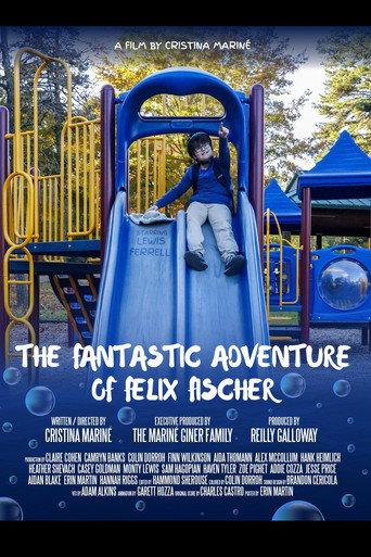 The Fantastic Adventure of Felix Fischer () poster