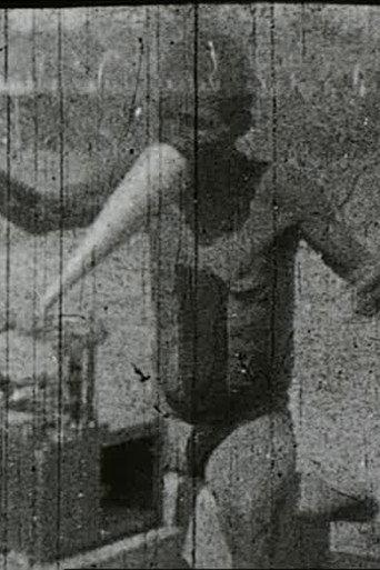 Bushman Speaking into the Phonograph (1908) poster