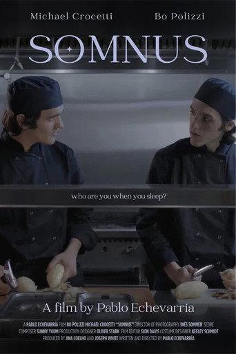 Somnus (2024) poster