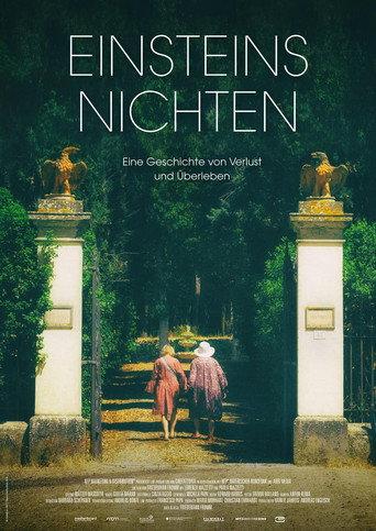 Einsteins Nichten (2017) poster
