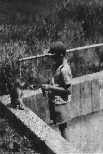Humit's Zoo (1961) poster