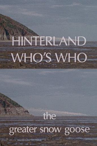 Hinterland Who's Who: The Greater Snow Goose (1978) poster