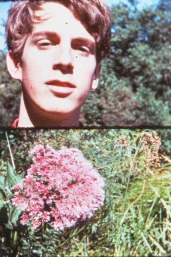 Dan Potter (1968) poster