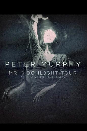 Peter Murphy – Mr. Moonlight Tour: 35 Years Of Bauhaus (2014) poster