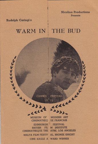 Warm in the Bud (1970) poster