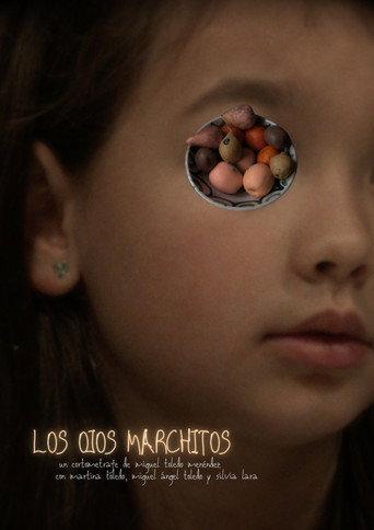 The Withered Eyes (2020) poster