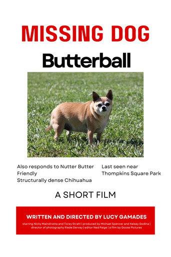 Butterball () poster