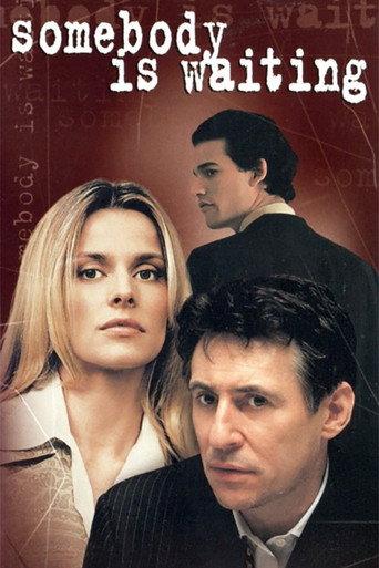 Somebody Is Waiting (1996) poster