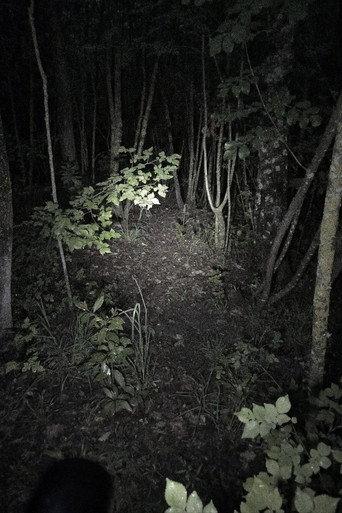 Untitled Found Footage Project () poster