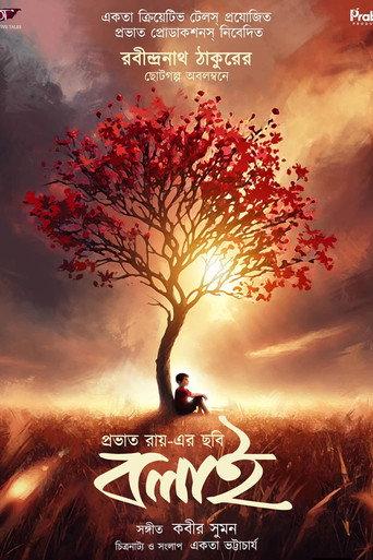 Bolai () poster