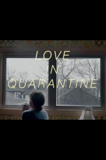 Love in Quarantine (2020) poster