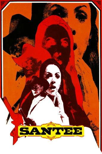 Santee (1973) poster