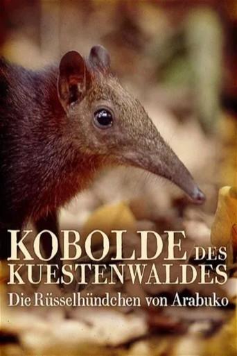 Rainforest Pixies: The Mysterious Rhynchocyon Shrew of Arabuko (2007) poster