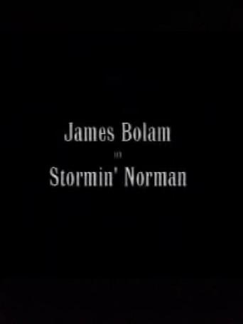Stormin' Norman (2000) poster