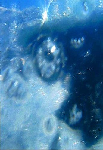 A fleur d’eau… (2009) poster