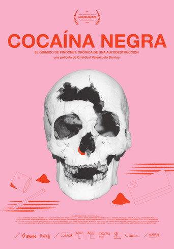 Black Cocaine (2026) poster
