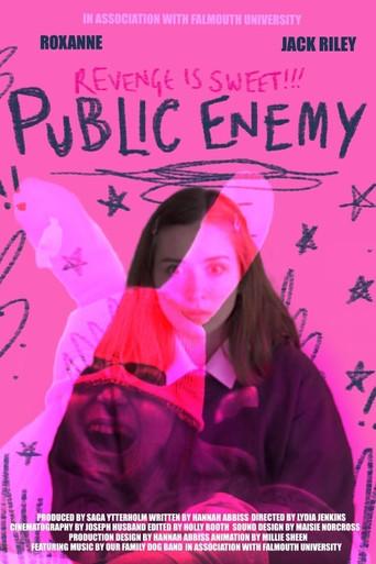 Public Enemy () poster