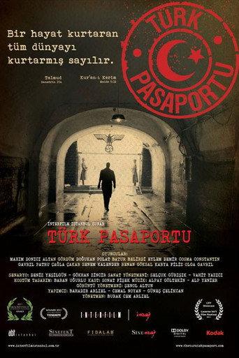 Turkish Passport (2011) poster