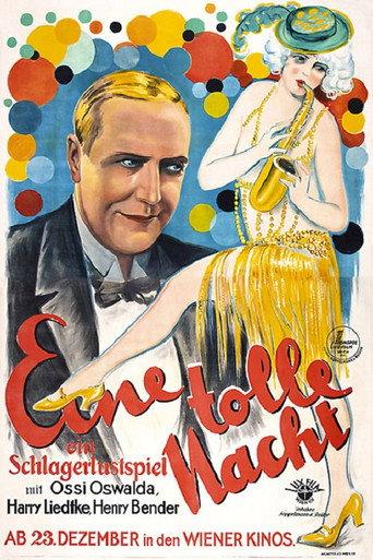 A Crazy Night (1927) poster