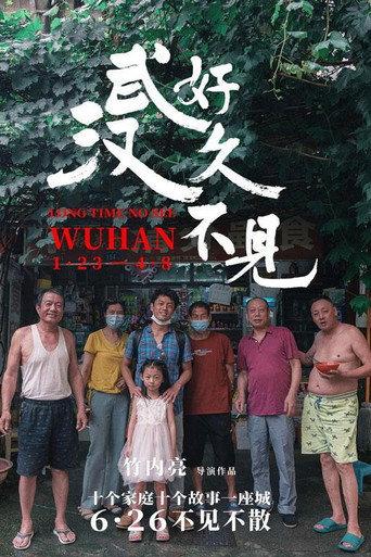 Long Time No See Wuhan (2020) poster