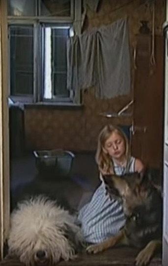 Suņu vīrs un Tille (2002) poster