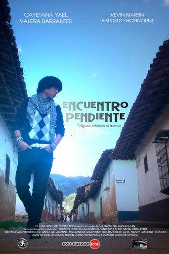 Encuentro Pendiente (2011) poster