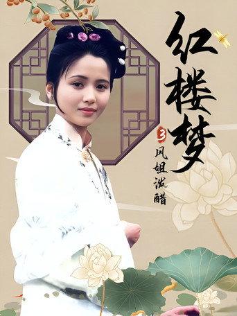 红楼梦第三部：凤姐泼醋 (1989) poster